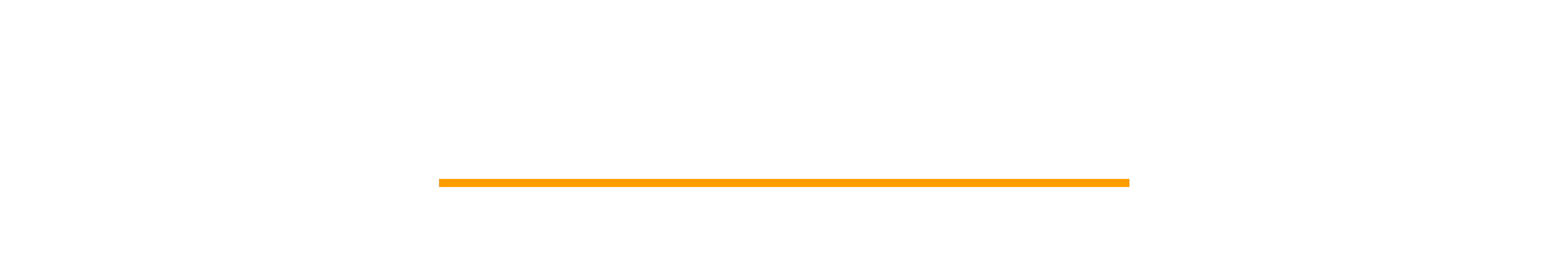 Partner A wordmark, white: logoOnDark